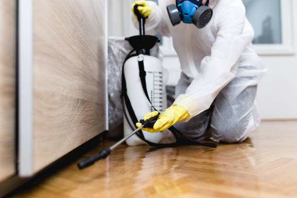 Best Rat Extermination Near Me  in Warsaw, VA