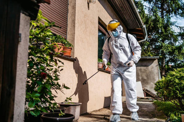 Best Best Pest Control Companies  in Warsaw, VA