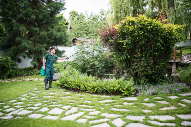Wasp Removal Services in Warsaw, VA