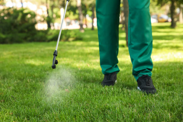 Best Ant Control Services  in Warsaw, VA
