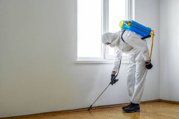 Best Termite Control Services  in Warsaw, VA