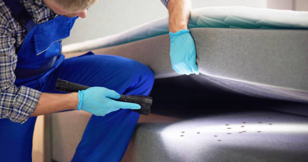 Best Bed Bug Extermination  in Warsaw, VA