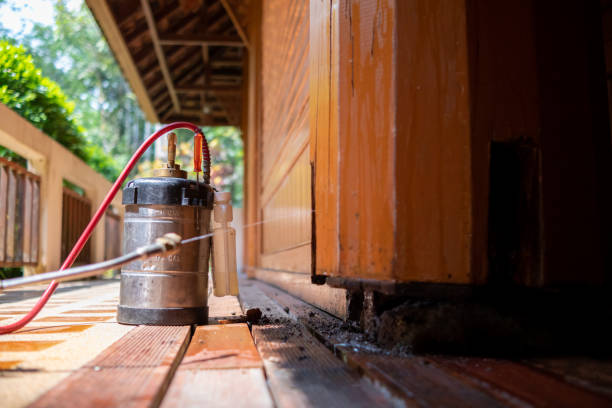 Best Local Pest Control Services  in Warsaw, VA
