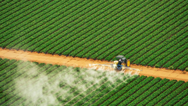 Best Pest Control Cost  in Warsaw, VA